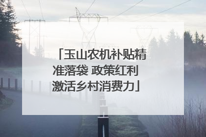 玉山农机补贴精准落袋 政策红利激活乡村消费力