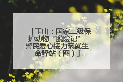 玉山：国家二级保护动物“脱险记” 警民爱心接力筑就生命驿站（图）