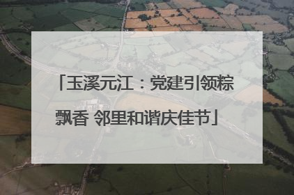 玉溪元江：党建引领粽飘香 邻里和谐庆佳节
