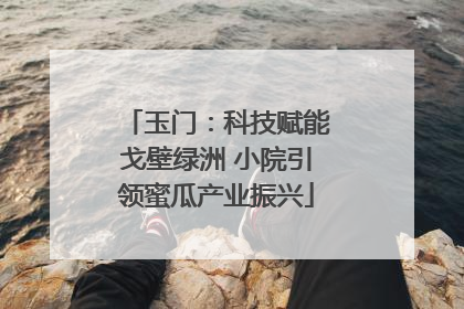 玉门：科技赋能戈壁绿洲 小院引领蜜瓜产业振兴