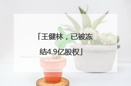 王健林，已被冻结4.9亿股权