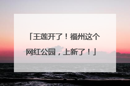 王莲开了！福州这个网红公园，上新了！