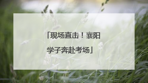 现场直击！襄阳学子奔赴考场