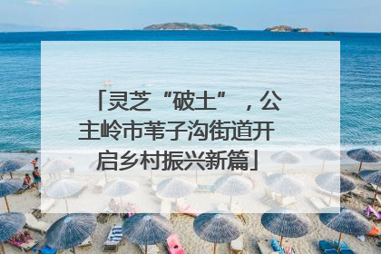 灵芝“破土”，公主岭市苇子沟街道开启乡村振兴新篇