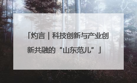灼言｜科技创新与产业创新共融的“山东范儿”