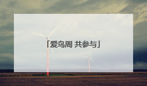 爱鸟周 共参与