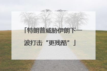 特朗普威胁伊朗下一波打击“更残酷”