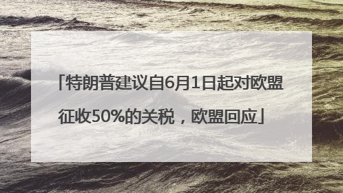 特朗普建议自6月1日起对欧盟征收50%的关税，欧盟回应