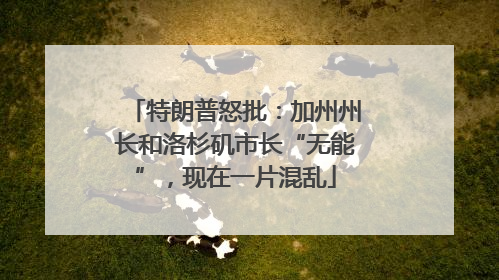 特朗普怒批：加州州长和洛杉矶市长“无能”，现在一片混乱