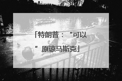 特朗普：“可以”原谅马斯克
