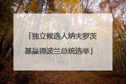 独立候选人纳夫罗茨基赢得波兰总统选举