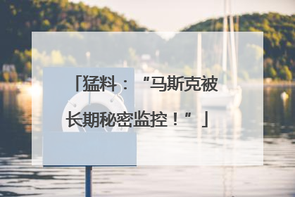 猛料：“马斯克被长期秘密监控！”