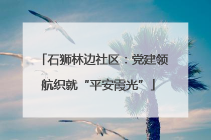 石狮林边社区：党建领航织就“平安霞光”
