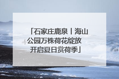 石家庄鹿泉丨海山公园万株荷花绽放 开启夏日赏荷季