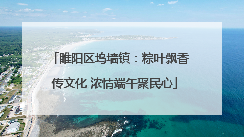 睢阳区坞墙镇：粽叶飘香传文化 浓情端午聚民心
