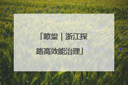 瞭望｜浙江探路高效能治理