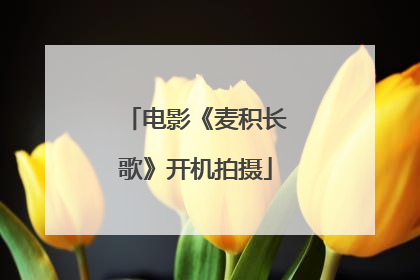 电影《麦积长歌》开机拍摄