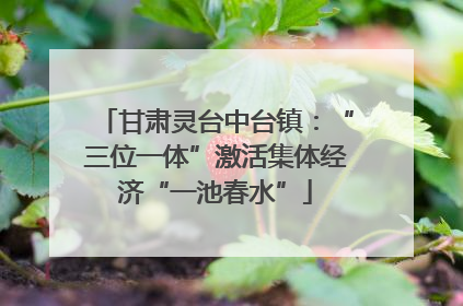 甘肃灵台中台镇：“三位一体”激活集体经济“一池春水”