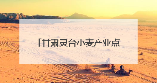 甘肃灵台小麦产业点燃乡村振兴新引擎