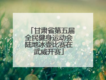甘肃省第五届全民健身运动会陆地冰壶比赛在武威开赛