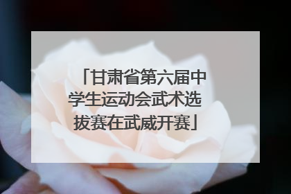 甘肃省第六届中学生运动会武术选拔赛在武威开赛