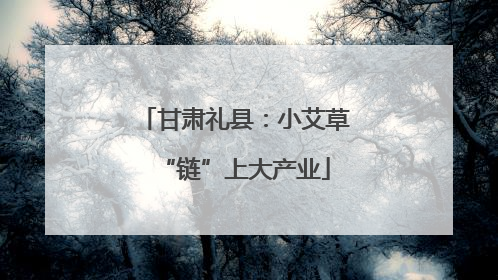 甘肃礼县：小艾草“链”上大产业