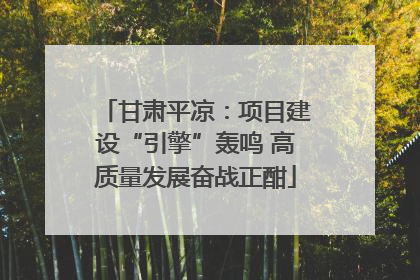 甘肃平凉：项目建设“引擎”轰鸣 高质量发展奋战正酣