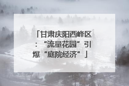 甘肃庆阳西峰区：“流量花园”引爆“庭院经济”