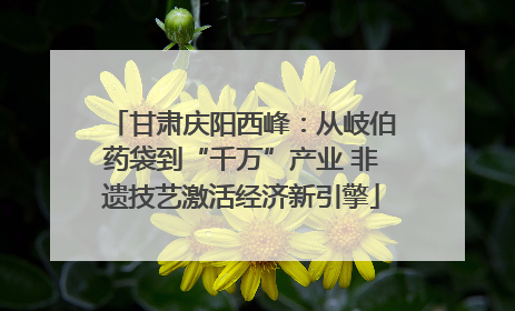 甘肃庆阳西峰：从岐伯药袋到“千万”产业 非遗技艺激活经济新引擎