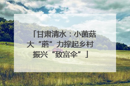 甘肃清水：小菌菇大“蘑”力撑起乡村振兴“致富伞”