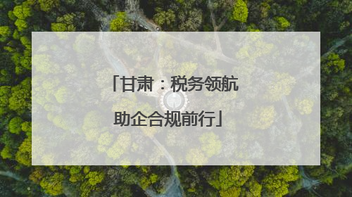 甘肃：税务领航 助企合规前行