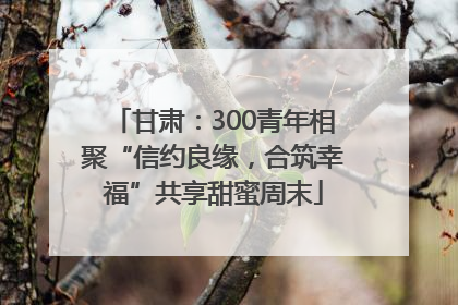 甘肃：300青年相聚“信约良缘，合筑幸福”共享甜蜜周末