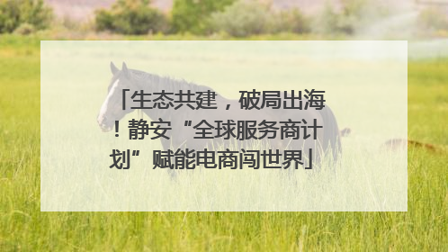 生态共建，破局出海！静安“全球服务商计划”赋能电商闯世界