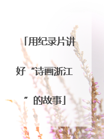 用纪录片讲好“诗画浙江”的故事