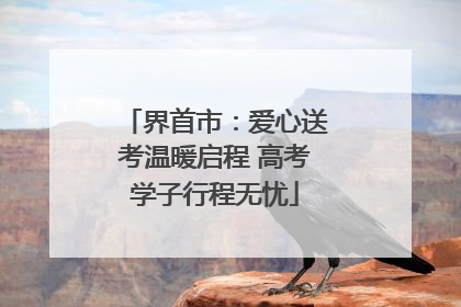界首市：爱心送考温暖启程 高考学子行程无忧