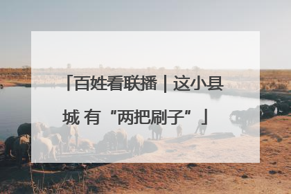 百姓看联播｜这小县城 有“两把刷子”