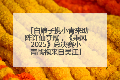 白娘子携小青来助阵许仙夺冠，《乘风2025》总决赛小青战袍来自吴江