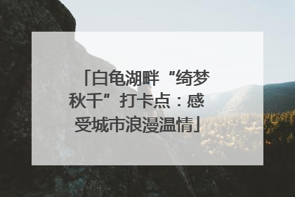 白龟湖畔“绮梦秋千”打卡点：感受城市浪漫温情