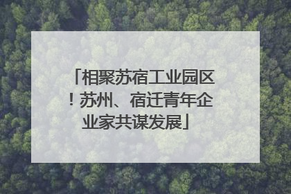 相聚苏宿工业园区！苏州、宿迁青年企业家共谋发展