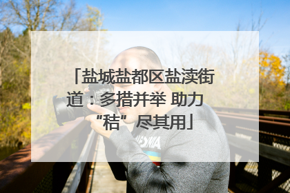 盐城盐都区盐渎街道：多措并举 助力“秸”尽其用