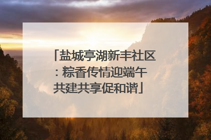 盐城亭湖新丰社区：粽香传情迎端午 共建共享促和谐