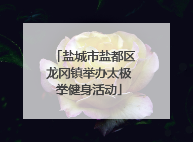 盐城市盐都区龙冈镇举办太极拳健身活动