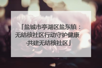 盐城市亭湖区盐东镇：无结核社区行动守护健康 ·共建无结核社区