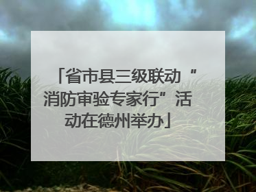 省市县三级联动“消防审验专家行”活动在德州举办