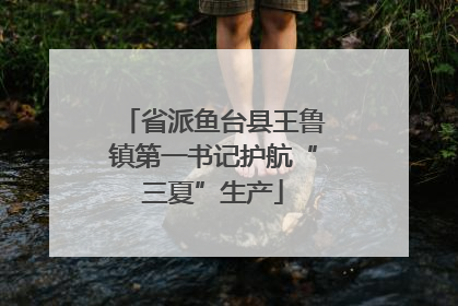 省派鱼台县王鲁镇第一书记护航“三夏”生产