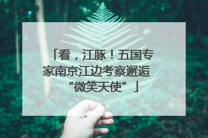 看，江豚！五国专家南京江边考察邂逅“微笑天使”
