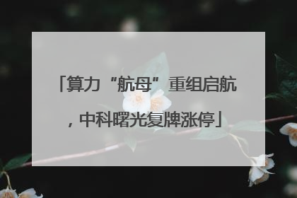 算力“航母”重组启航，中科曙光复牌涨停