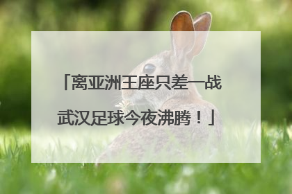 离亚洲王座只差一战 武汉足球今夜沸腾！