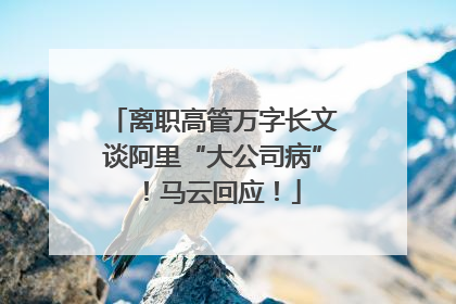 离职高管万字长文谈阿里“大公司病”！马云回应！