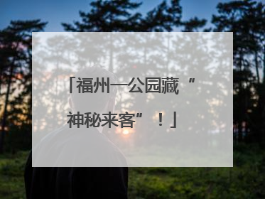 福州一公园藏“神秘来客”！